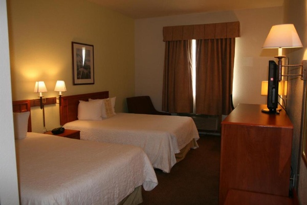 Oceanfront Lodge image 14